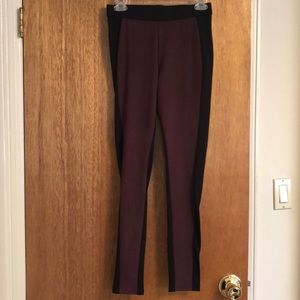 NWOT Hue Suede front leggings